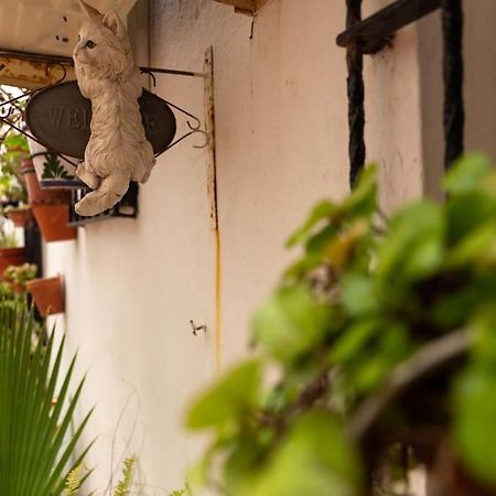 카디스 El Patio De La Vina By Gades Gestion 아파트 외부 사진