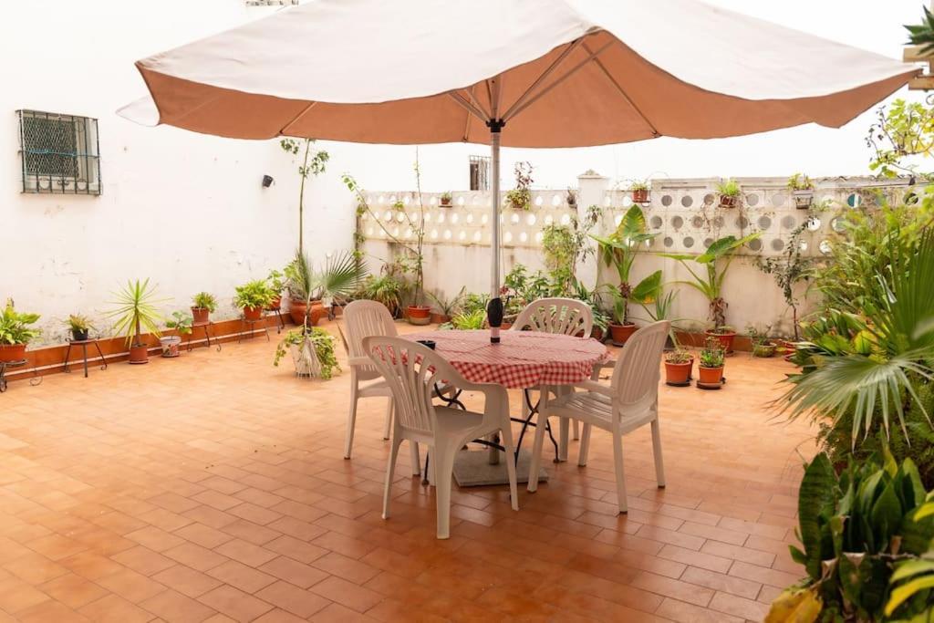 카디스 El Patio De La Vina By Gades Gestion 아파트 외부 사진